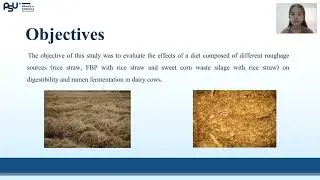 Effects of Fermented By-Products and Rice Straw on Digestibility and Rumen Fermentation in Dairy Cow