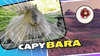 The Secret World of the Capybara | 1 Minute Animals US