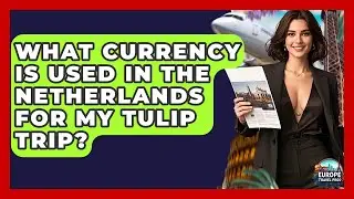 What Currency Is Used In The Netherlands For My Tulip Trip? - Europe Travel Pros