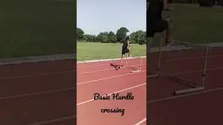 basic Hurdle crossing #shortvideo #lioness #speed #running #@ARN_Sports #armylover #sports #jump