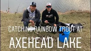 Catching rainbow trout at Axehead Lake 2019