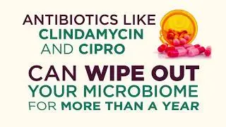 How To Repair Your Gut Health After Antibiotics