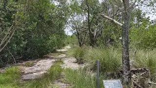 4K Deering Estate North Addition Eel Preserve , Walking Tour , Coral Gables , Miami FL , June 2023