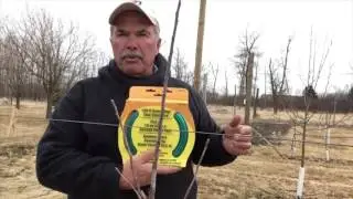 Gilby's Quick Tip: Cheaper Tree Guides for High Density Apple Tree Growing