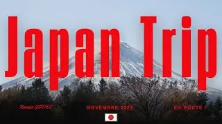NOTRE VOYAGE DE REVE AU JAPON (2 semaines incroyable en Novembre)