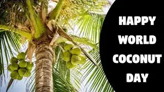 world coconut day whatsapp status|world coconut day status|world coconut day|world coconut day 2021