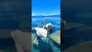 R.E.S Scenicania Amazing 😍 Scenic Short #scenic