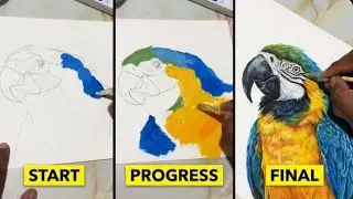 Realistic Acrylic Bird Painting | Animal Time Lapse Art | How to Paint Birds Step by Step