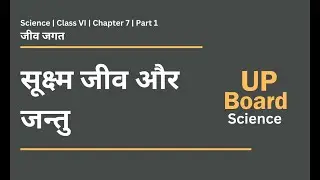 UP Board - Class 6 - Science - Chapter 7 - Living Things