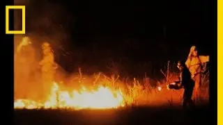 Борьба с лесными пожарами | National Geographic