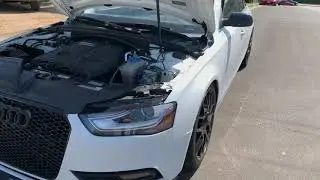 Carbon Fiber Strut Tower Brace Install (B8.5 A4 / S4)