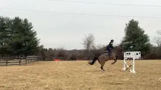 Aspen schooling 1.25 5 jumps 