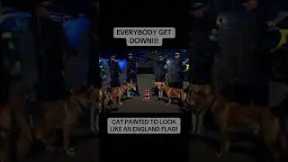 Everybody get down!! 👀 #armedforces #riot #tank #army #police #cat #dog #policedogs