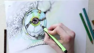 Chameleon eye drawing