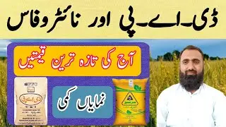 DAP fertilizer price today | New fertilizer prices update | Bilal Kanju Official