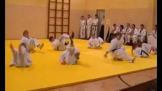 Sztuki Walk - Pokazy SSWS