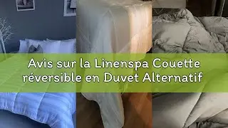 Avis sur la Linenspa Couette r&eacute;versible en Duvet Alternatif et Insert, Toutes Saisons, piq&ucirc;res carr&eacute;
