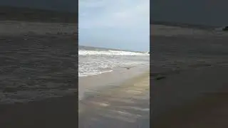 Black Sand Beach Pondicherry #blacksandbeach #beachvideo #1subscriber #viralvideo #beachlife #beach