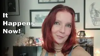 Dragonwolf Tarot Reading - You Worked Hard & It Paid Off!