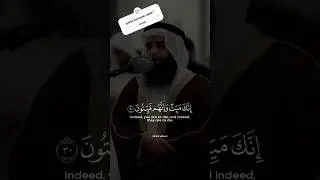 guess the surah of quran? #allah #lovepalestine #islam #quran #islamicvideo #halalvideos#viralvideo