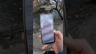My foodora earning Oslo, Norway