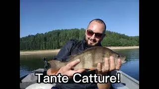 Lorica Fishing Experience presso il Lago Arvo (CS). Il resoconto della giornata di pesca a spinning.