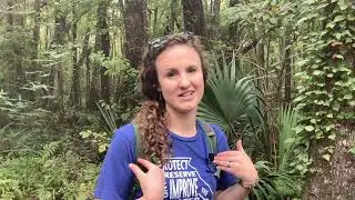 Stream Ecology