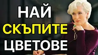 Открийте 6-те ЦВЯТА, Които Излъчват Елегантност и Ексклузивност!
