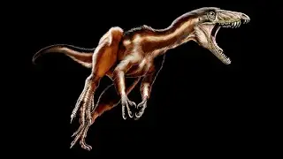 Tawa hallae &ndash; O Dinossauro Primordial do Tri&aacute;ssico que Revela a Origem dos Ter&oacute;podes