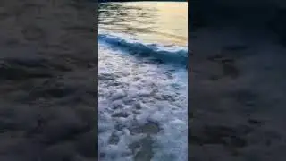 Listen Close&hellip; The Bubbles Are Alive 🫧. #ASMR #Sleep #OceanSounds