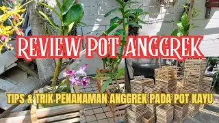 REVIEW POT ANGGREK | MURAH BERKUALITAS | TIPS & TRIK PENANAMAN ANGGREK PADA POT KAYU