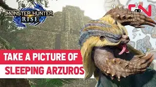 Take a Picture of Sleeping Arzuros Monster Hunter Rise Request