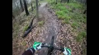Nerang State Forest MTB Trails Riding on the Charger VLOG 5
