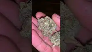 Review Ep5 feat MK Ultra