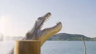 Faites le plein d'activit&eacute;s avec Istres Tourisme, LE CLUB !