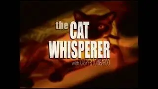 The Cat Whisperer with Casper Lombardo NTSC USA Title Cards