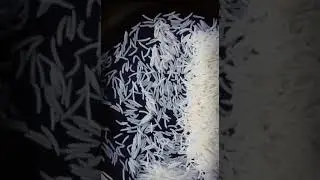 Noor E Inayat 1509 steam Basmati rice
