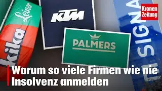 Warum so viele Firmen wie nie Insolvenz anmelden | krone.tv NEWS