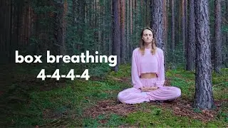 Box Breathing Exercise for Fast Stress & Anxiety Relief