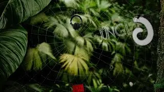 Sound - Upbeat Oboe | AudioJungle Download