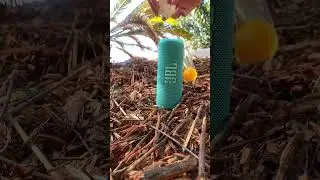 JBL Egg Behind The Scenes