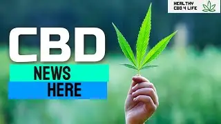 🆕 🆕 How To Use CBD Oil In The Morning CBD Dosing Guide Check It Out!