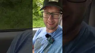 Abusive Dog Update #amish #dog #horse #hurt