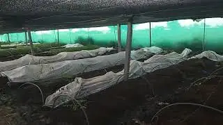 khadar rahamatunnisa nursari video 20211019 170522