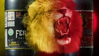 Fearless Energy Drink