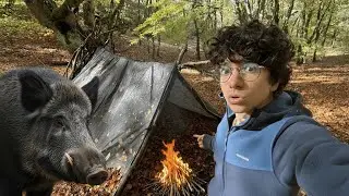Construí un REFUGIO DE SUPERVIVENCIA en este BOSQUE ENCANTADO 😟