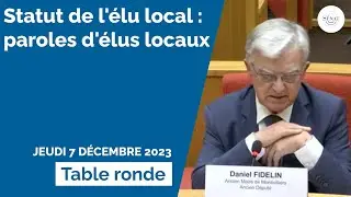 Statut de l'&eacute;lu local : paroles d'&eacute;lus locaux