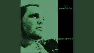Reign of Pain (Mindsoundscapes Remix)