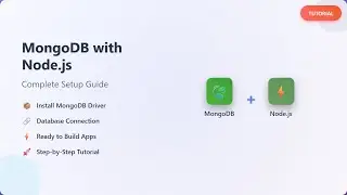 MongoDB & Node.js Setup: The Complete Beginner's Guide