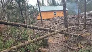 Storm Damage At Our Off Grid Cabin | DIY Sliding Barn Door | Installing Cedar Planks